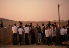Judar bakom staket i Israel